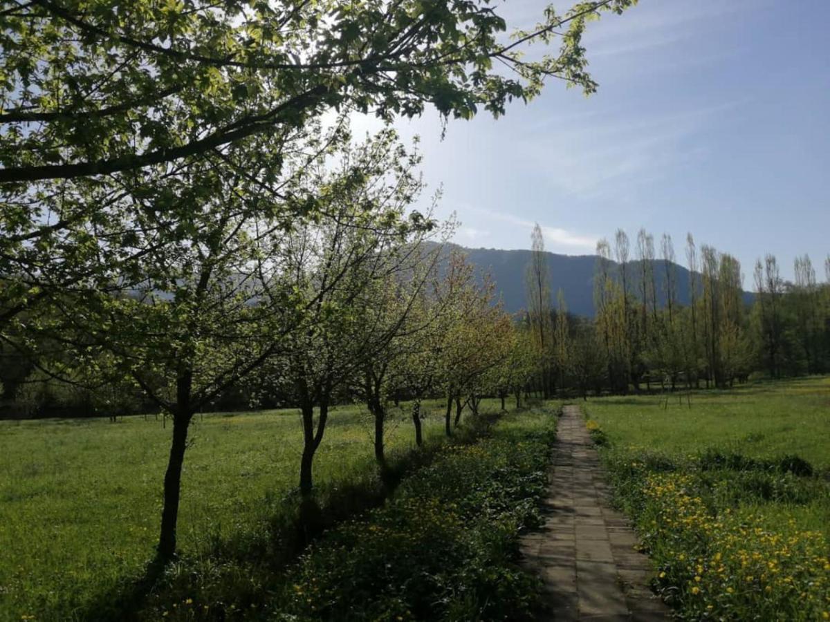 Grand Village Ismayilli Exterior foto
